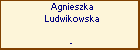 Agnieszka Ludwikowska