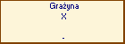 Grayna X
