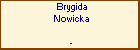 Brygida Nowicka