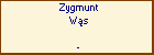 Zygmunt Ws