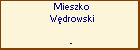 Mieszko Wdrowski