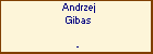 Andrzej Gibas