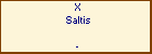 X Saltis