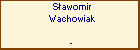 Sawomir Wachowiak