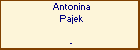 Antonina Pajek